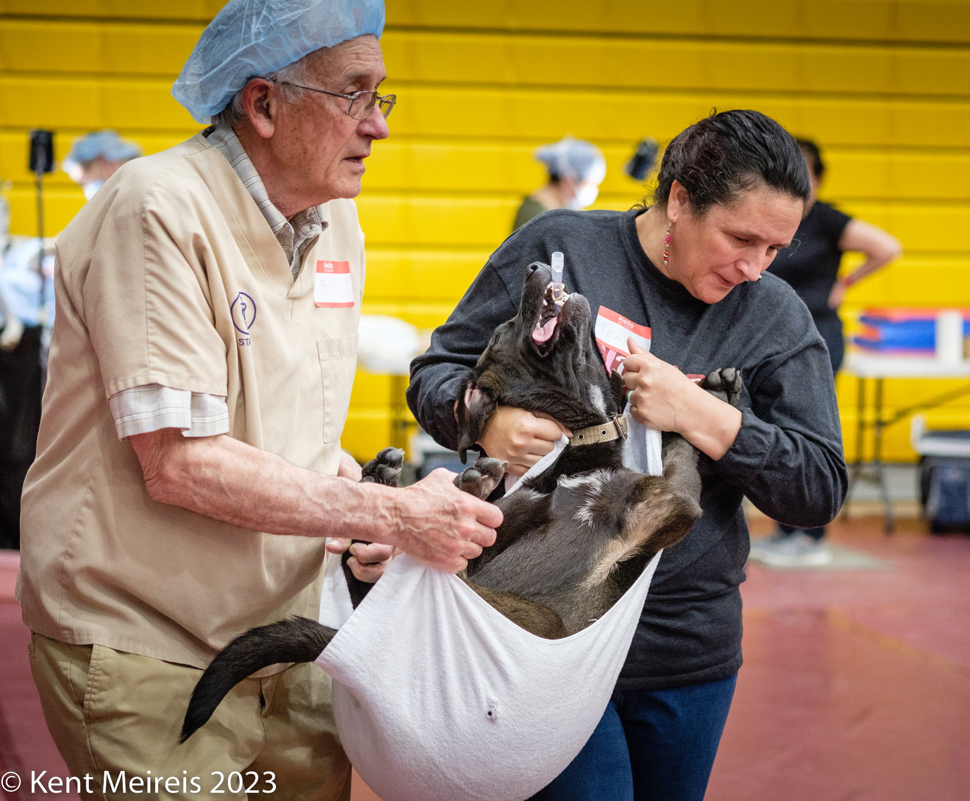 Arlee Spay and Neuter Clinic